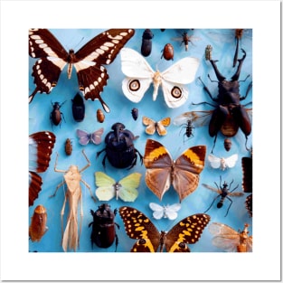 Insects under glass Posters and Art